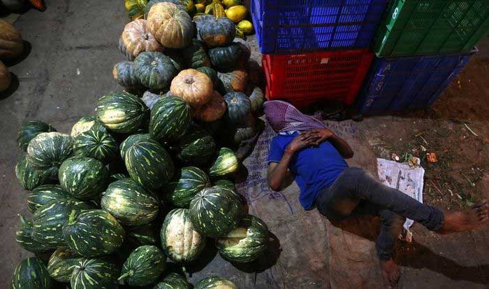 India's January inflation eases to 4.06% y/y