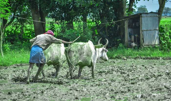 From small businesses to farmers, middle India is driving demand