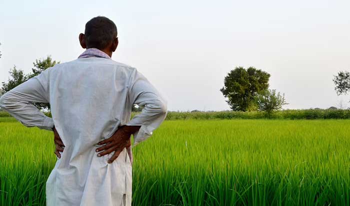 किसान और मध्यम वर्ग ने उठाया देश को मंदी से निकालने का बीड़ा